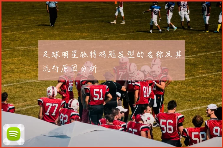 足球明星独特鸡冠发型的名称及其流行原因分析